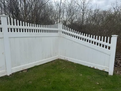 Fence before soft washing with mold and discoloration