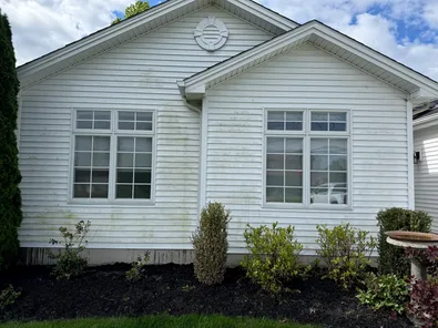 House siding before soft washing with dirt and mildew